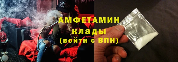 шишки Абаза