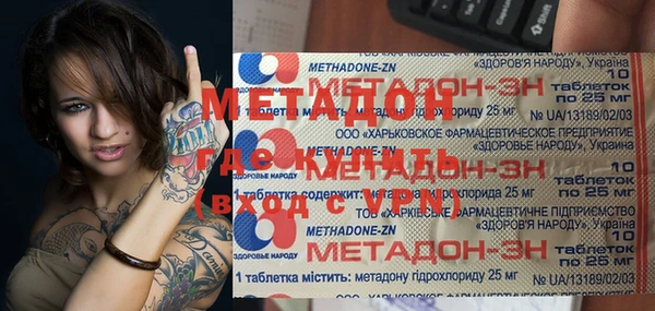 шишки Абаза