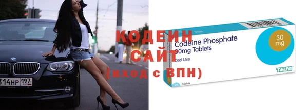 шишки Абаза