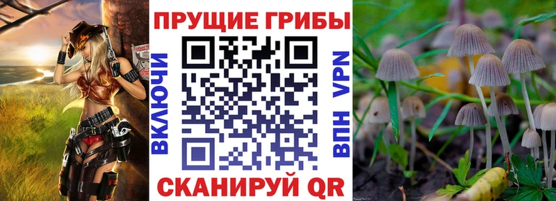 Галлюциногенные грибы ЛСД  ссылка на мегу сайт  Приозерск 